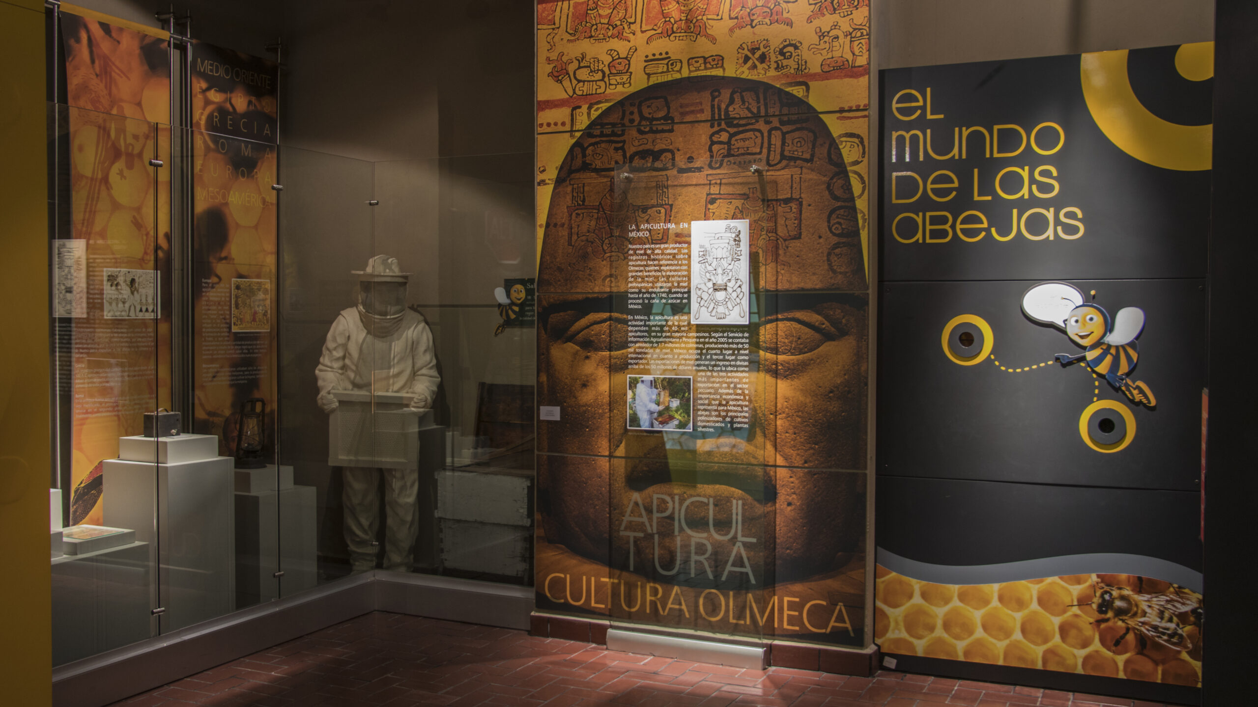 allende fotos (53)