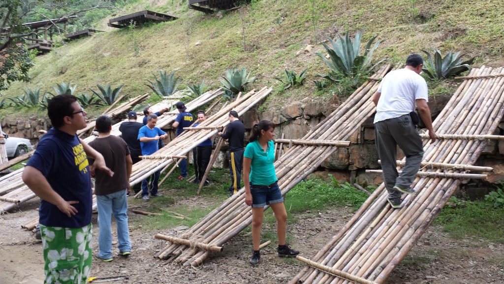 BAMBU-05-1024x576-1